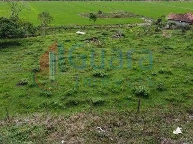 Terreno / Lote para Venda em Massaranduba/SC Centro
