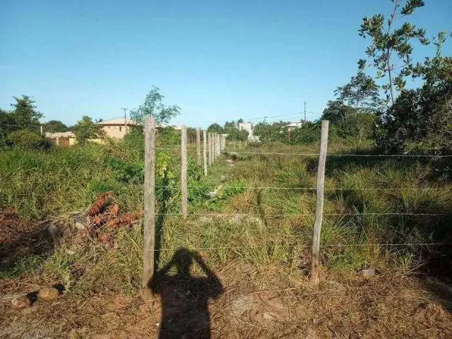 Terreno / Lote para Venda em Mata de São João/BA Imbassai