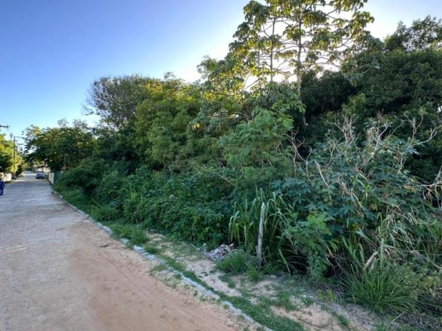 Terreno / Lote para Venda em Mata de São João/BA Imbassai