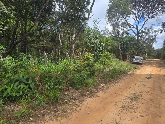 Terreno / Lote para Venda em Mata de São João/BA Lagoa Aruá