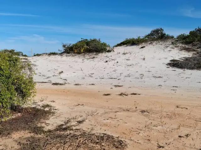 Terreno / Lote para Venda em Mata de São João/BA Praia do Forte