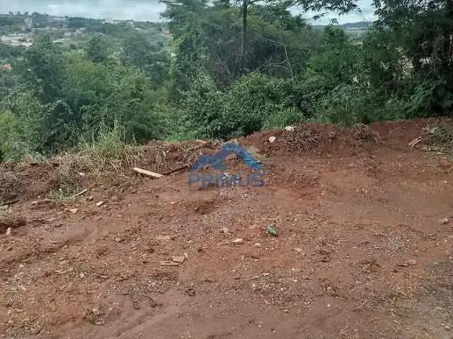 Terreno / Lote para Venda em Mateus Leme/MG Central