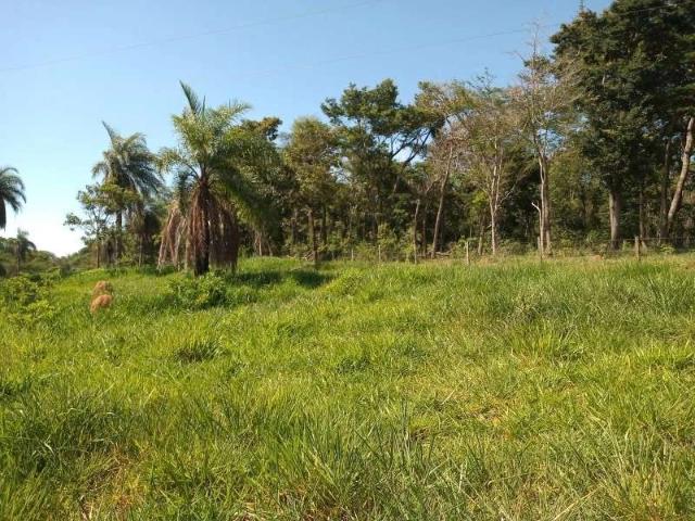 Terreno / Lote para Venda em Mateus Leme/MG Central