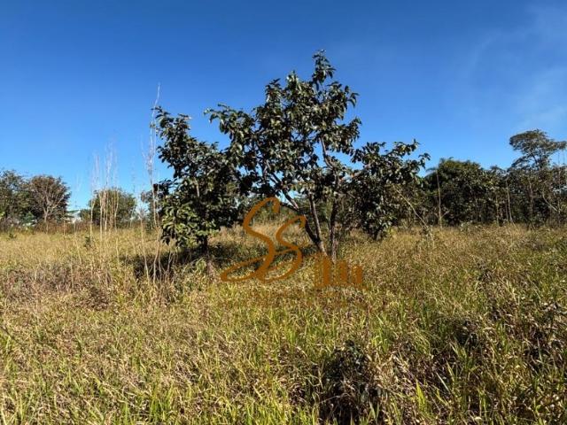 Terreno / Lote para Venda em Mateus Leme/MG Vale Dos Araçás