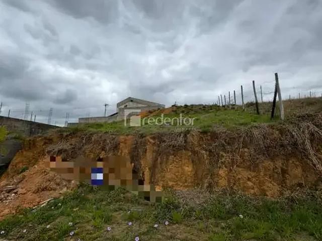 Terreno / Lote para Venda em Matias Barbosa/MG Alto Sereno