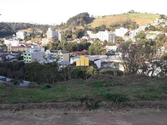 Terreno / Lote para Venda em Matias Barbosa/MG Centro