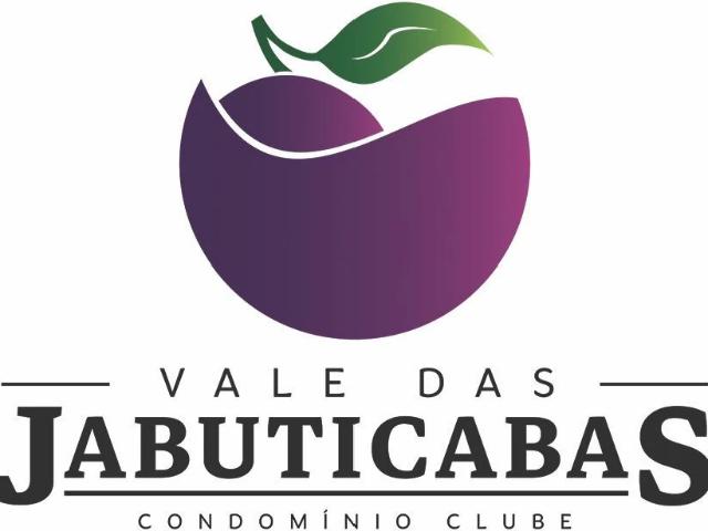 Terreno / Lote para Venda em Matias Barbosa/MG Santa Terezinha