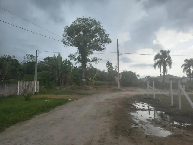 Terreno / Lote para Venda em Matinhos/PR Balneário Betaras