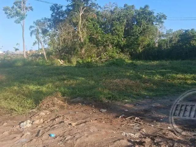 Terreno / Lote para Venda em Matinhos/PR Balneário Betaras