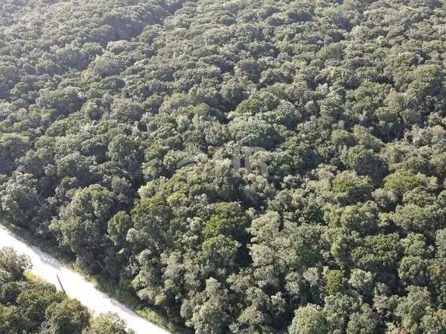 Terreno / Lote para Venda em Matinhos/PR Balneário Gaivotas