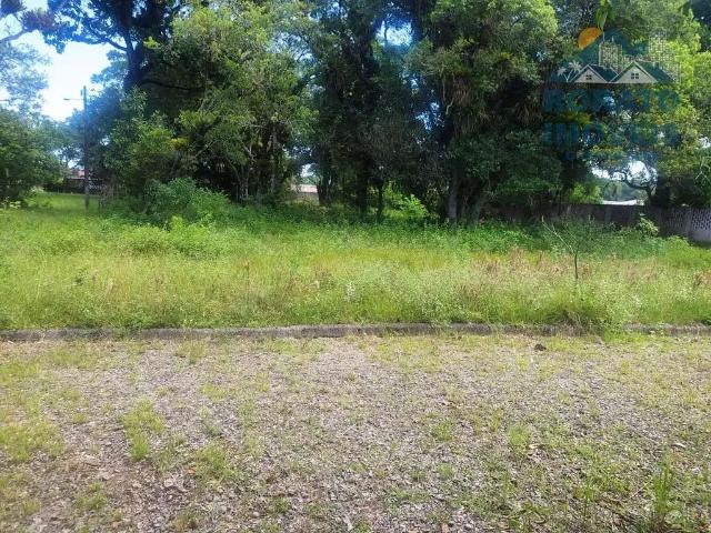 Terreno / Lote para Venda em Matinhos/PR Balneário Gaivotas