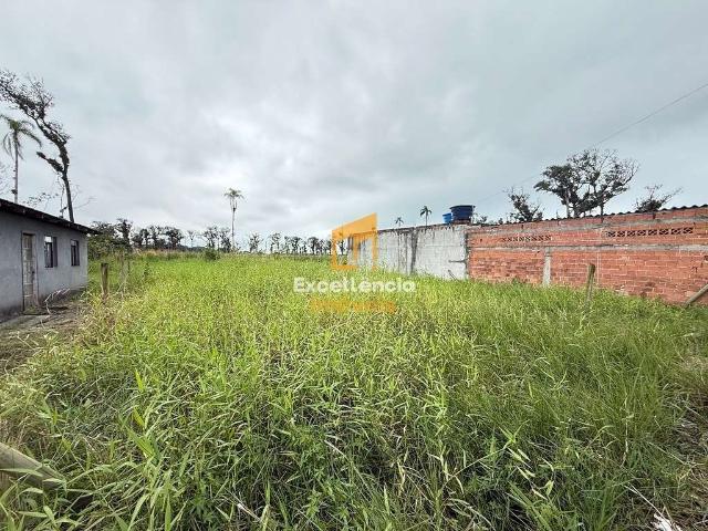 Terreno / Lote para Venda em Matinhos/PR Balneário Guaciara