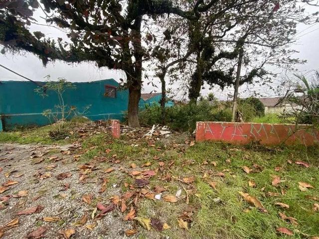 Terreno / Lote para Venda em Matinhos/PR Centro