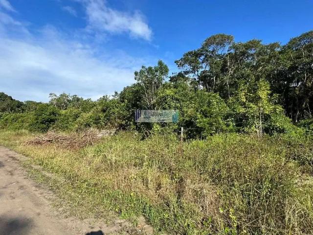 Terreno / Lote para Venda em Matinhos/PR Praia Grande