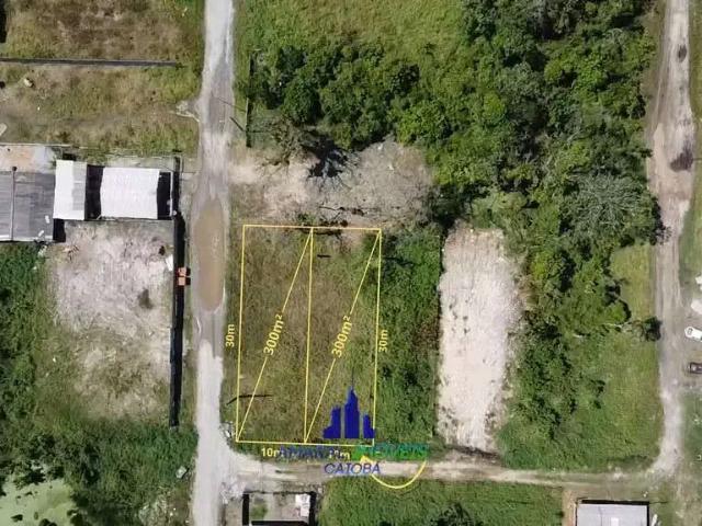 Terreno / Lote para Venda em Matinhos/PR Praia Grande