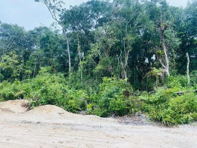 Terreno / Lote para Venda em Matinhos/PR Praia Grande