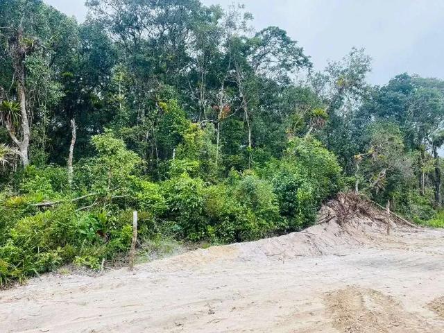 Terreno / Lote para Venda em Matinhos/PR Praia Grande