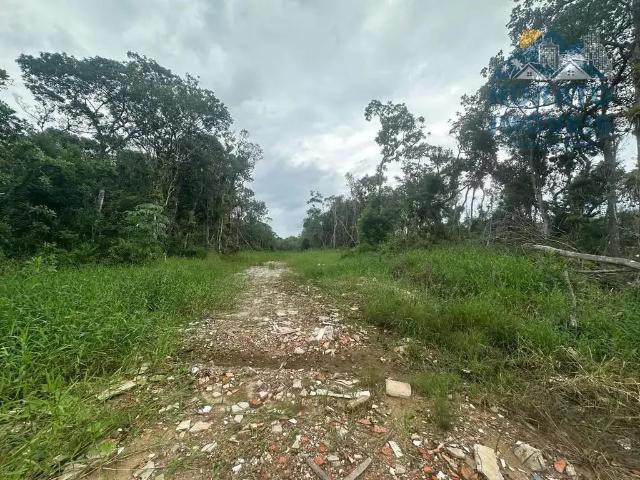 Terreno / Lote para Venda em Matinhos/PR Praia Grande