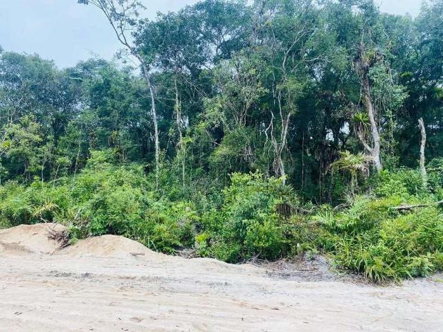 Terreno / Lote para Venda em Matinhos/PR Praia Grande