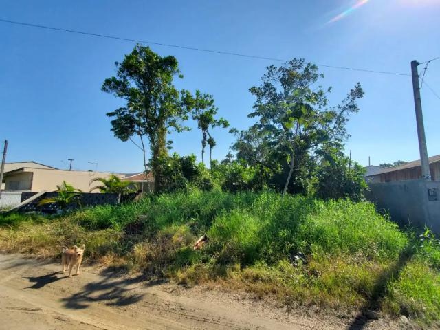 Terreno / Lote para Venda em Matinhos/PR Saint Etiene