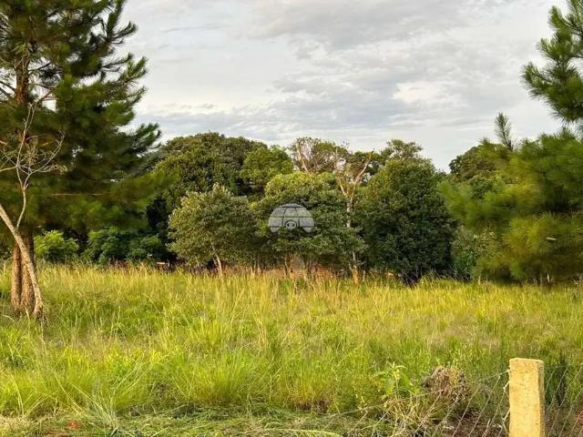 Terreno / Lote para Venda em Mato Castelhano/RS Centro