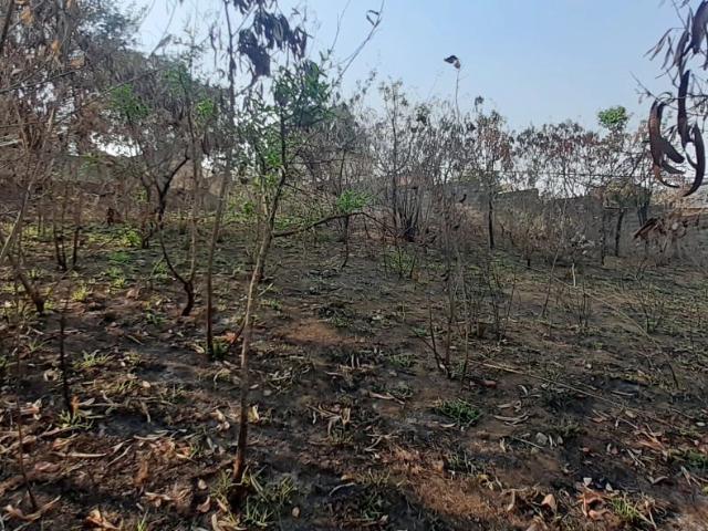 Terreno / Lote para Venda em Matozinhos/MG Centro