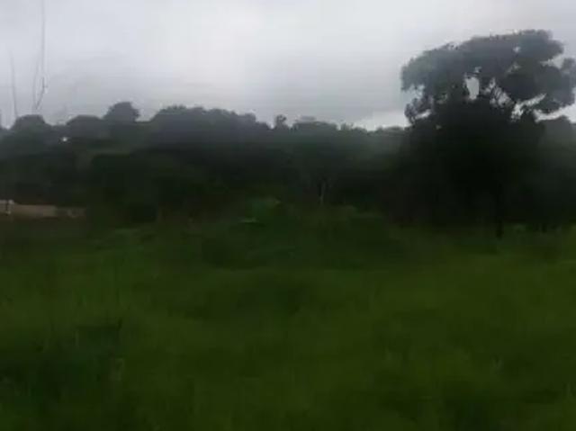 Terreno / Lote para Venda em Matozinhos/MG Estação