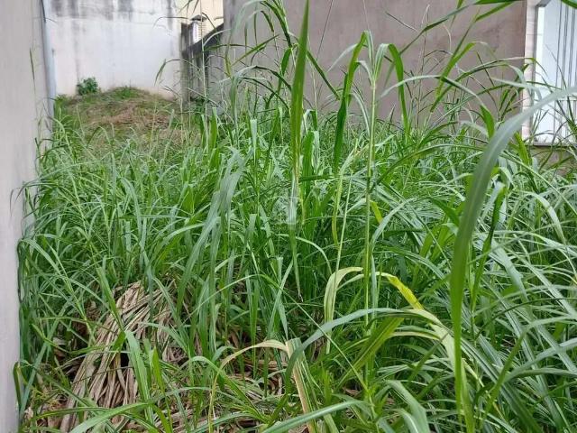 Terreno / Lote para Venda em Mauá/SP Parque São Vicente