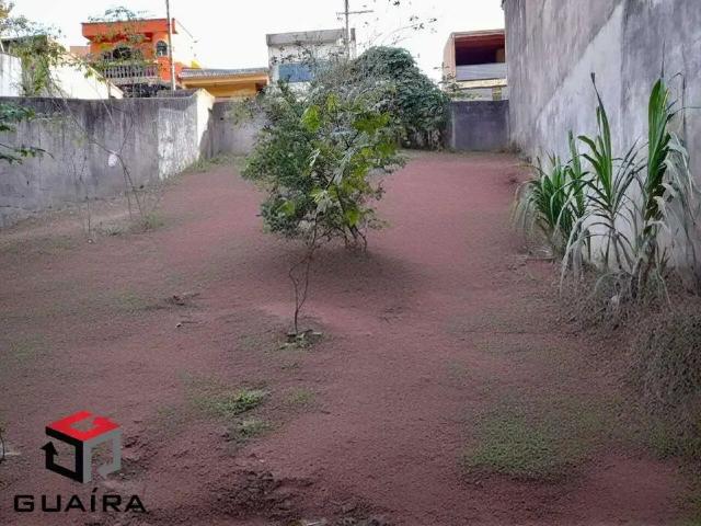 Terreno / Lote para Venda em Mauá/SP Vila Nova Mauá