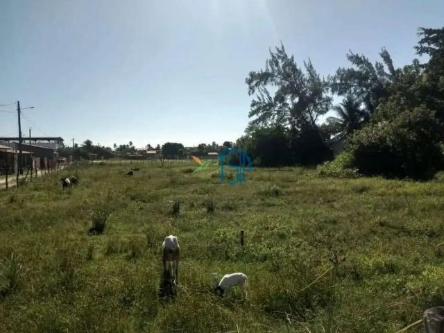 Terreno / Lote para Venda em Maxaranguape/RN Centro