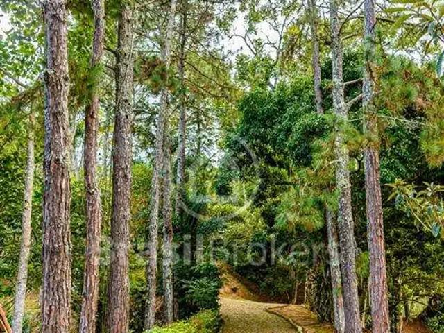 Terreno / Lote para Venda em Mendes/RJ Vila Mariana 7 Quartos