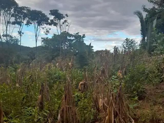 Terreno / Lote para Venda em Meruoca/CE Centro
