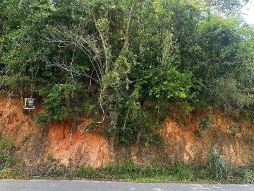 Terreno / Lote para Venda em Miguel Pereira/RJ Barão de Javary