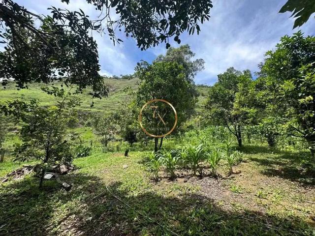 Terreno / Lote para Venda em Miguel Pereira/RJ Centro