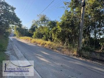 Terreno / Lote para Venda em Miguel Pereira/RJ Estância Aleluia
