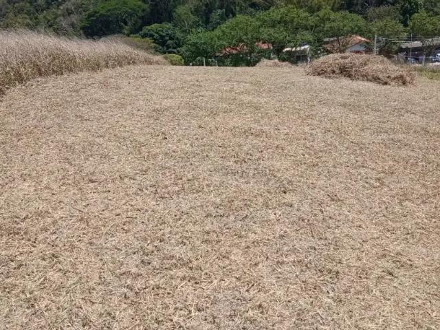 Terreno / Lote para Venda em Miguel Pereira/RJ Parque Guararapes