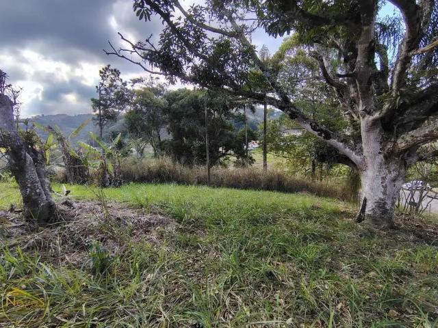 Terreno / Lote para Venda em Miguel Pereira/RJ Portal das Mansões