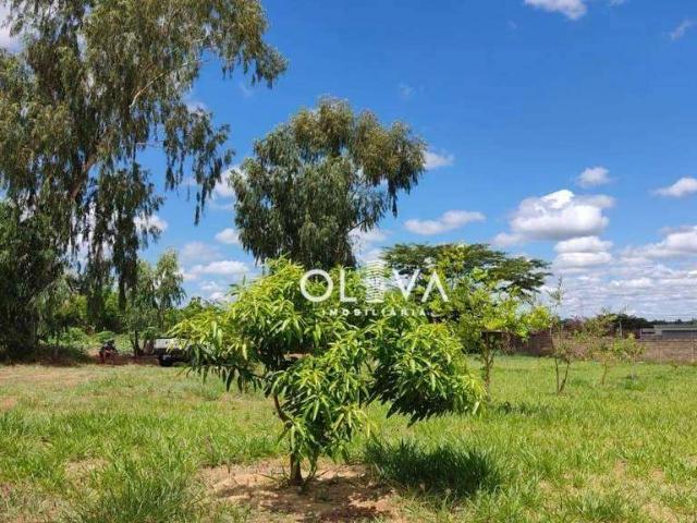 Terreno / Lote para Venda em Mirassol/SP Jardim Renascença