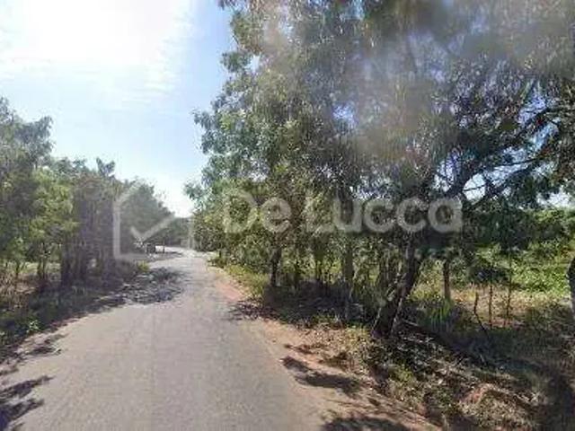 Terreno / Lote para Venda em Monte Alegre do Sul/SP Jardim Roseira