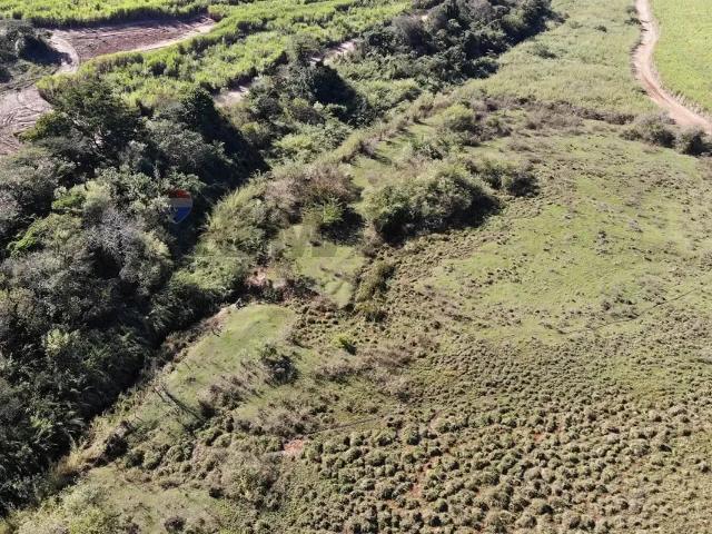 Terreno / Lote para Venda em Monte Alto/SP Centro