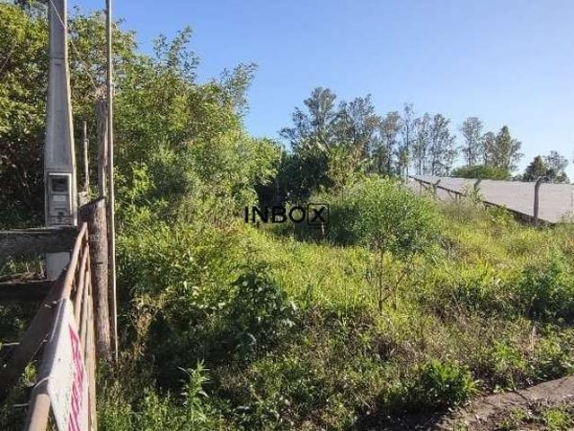 Terreno / Lote para Venda em Monte Belo do Sul/RS Centro