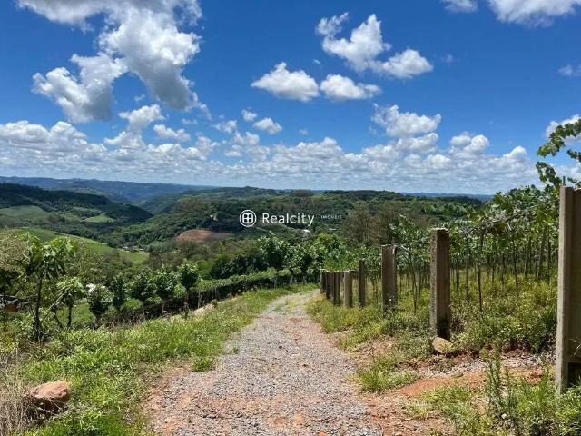 Terreno / Lote para Venda em Monte Belo do Sul/RS Centro