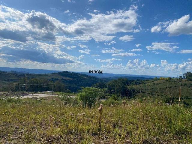 Terreno / Lote para Venda em Monte Belo do Sul/RS Centro