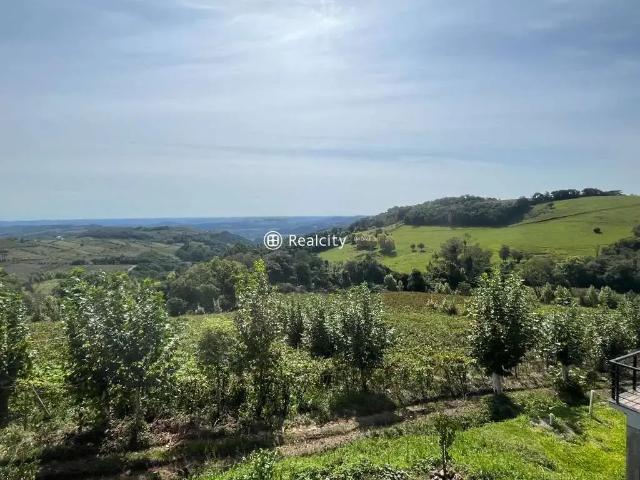 Terreno / Lote para Venda em Monte Belo do Sul/RS Centro