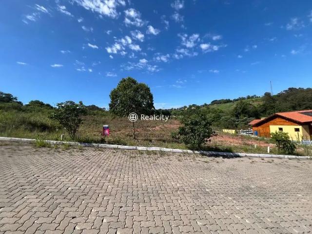 Terreno / Lote para Venda em Monte Belo do Sul/RS Centro