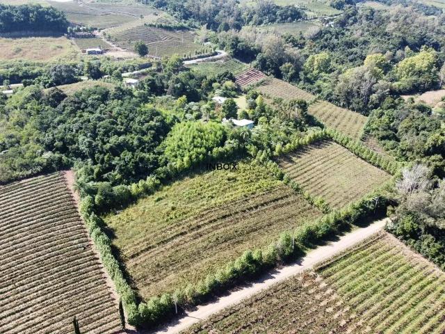 Terreno / Lote para Venda em Monte Belo do Sul/RS Zona Rural