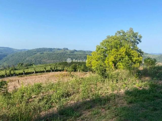 Terreno / Lote para Venda em Monte Belo do Sul/RS Zona Rural