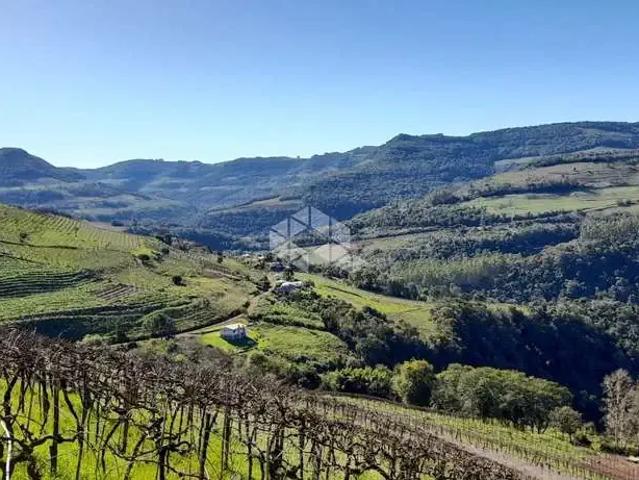 Terreno / Lote para Venda em Monte Belo do Sul/RS Zona Rural