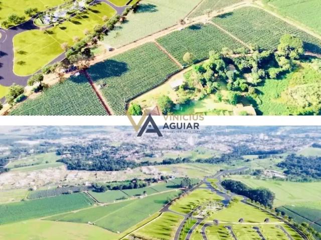 Terreno / Lote para Venda em Monte Mor/SP Pinheiros