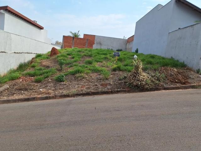 Terreno / Lote para Venda em Monte Sião/MG Centro